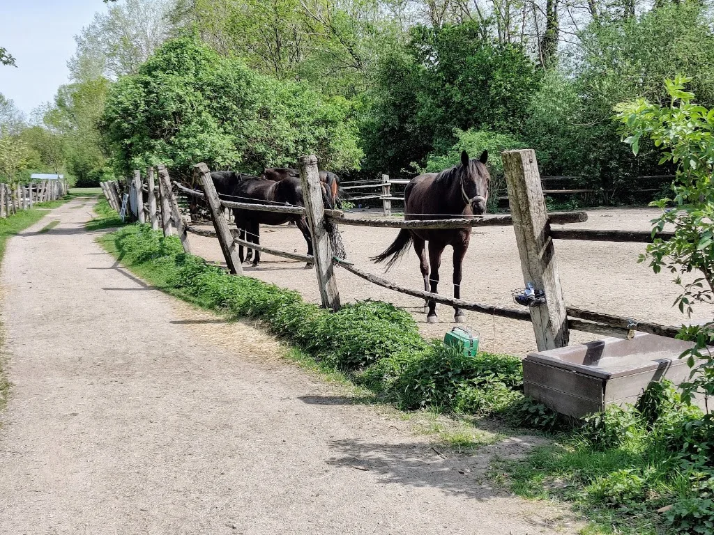 Reitstall Stummer - Foto 1