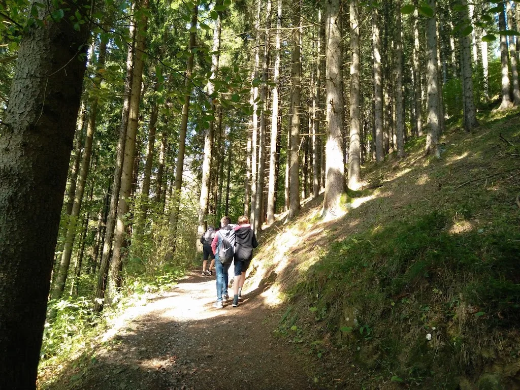 Joglbauer - Foto 3