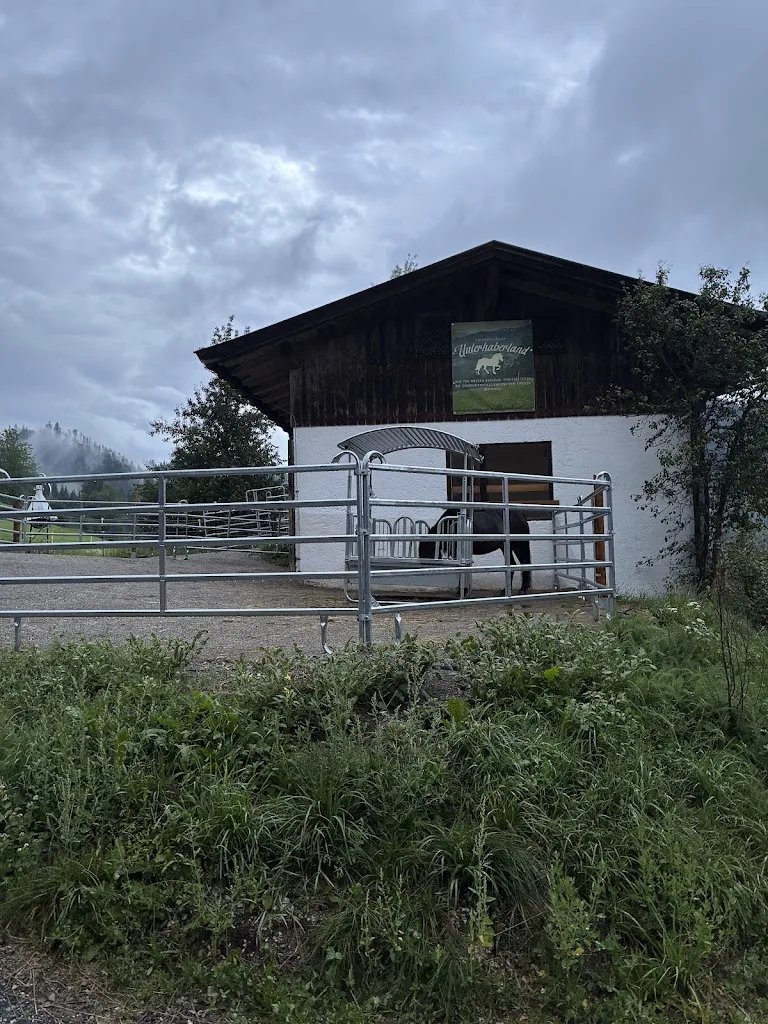 Islandpferdehof Unterhaberland - Foto 1