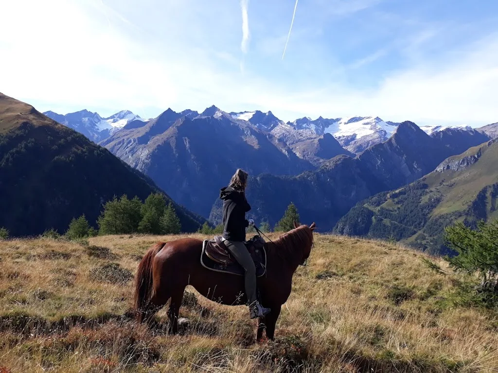 Reiten-Tirol Ortnerhof - Foto 2