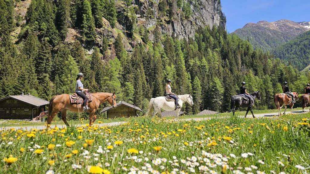 Reiten-Tirol Ortnerhof - Foto 3