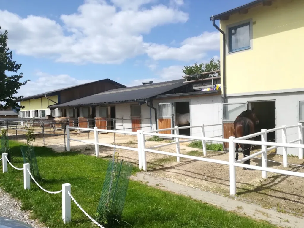 Equestrian Centre Austria - Foto 1