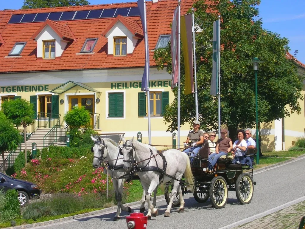 Ponyhof Körblereck - Foto 3