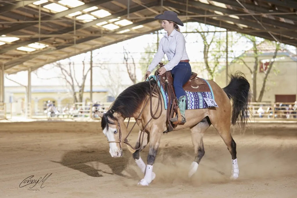 Westernreiten Sonja Döller - photo 2