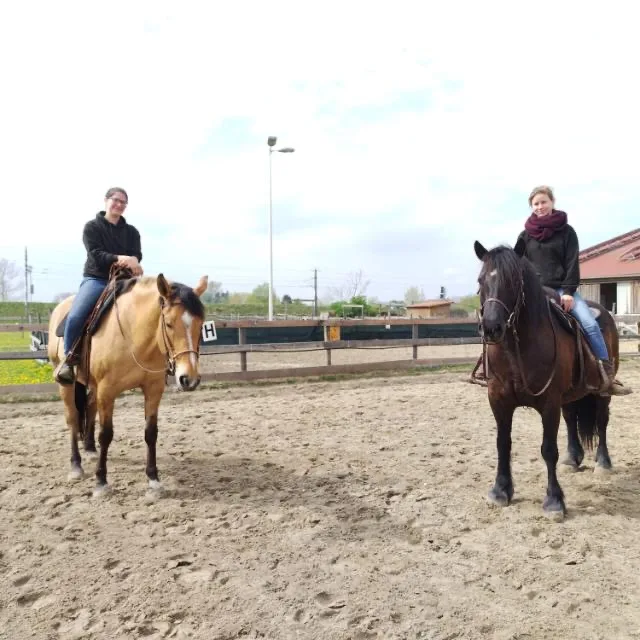 Westernreiten Sonja Döller - photo 3