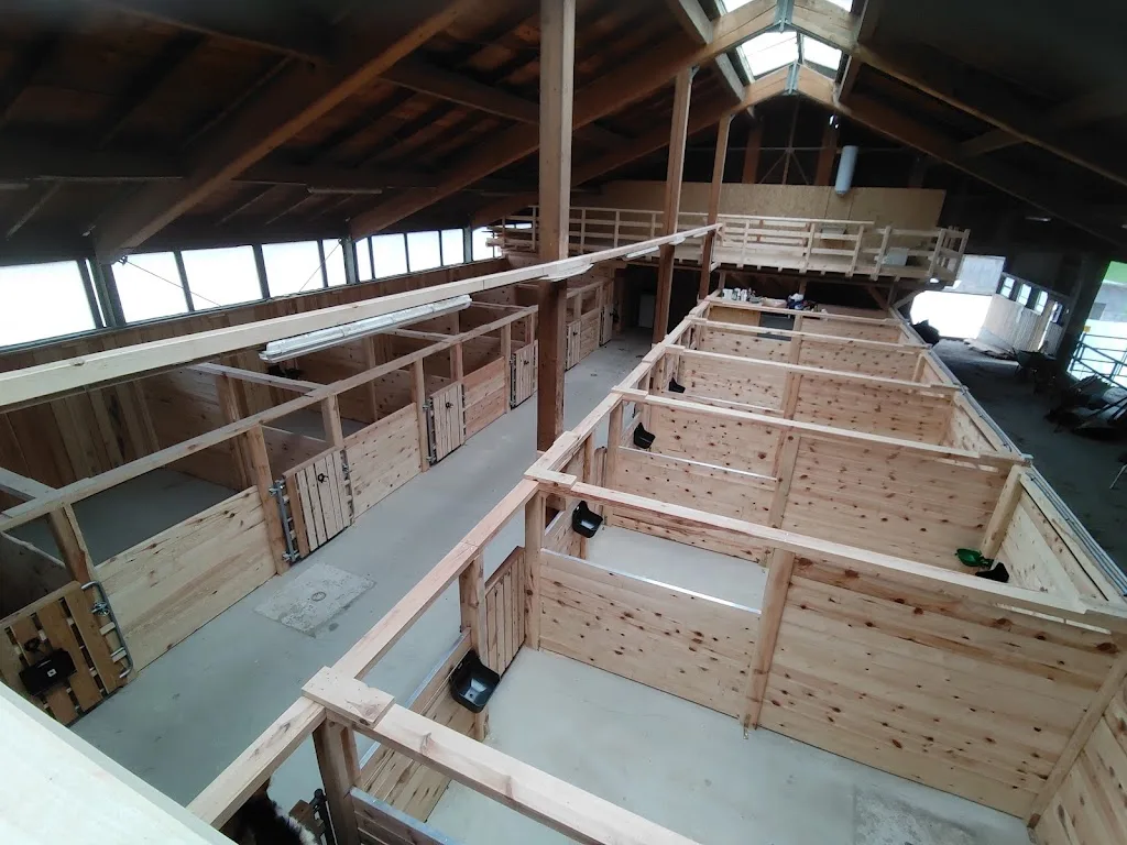 Pferdehof Höller - Foto 1