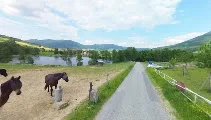 Pferdehof-BioZiegenhof Hoffmann - Foto 2