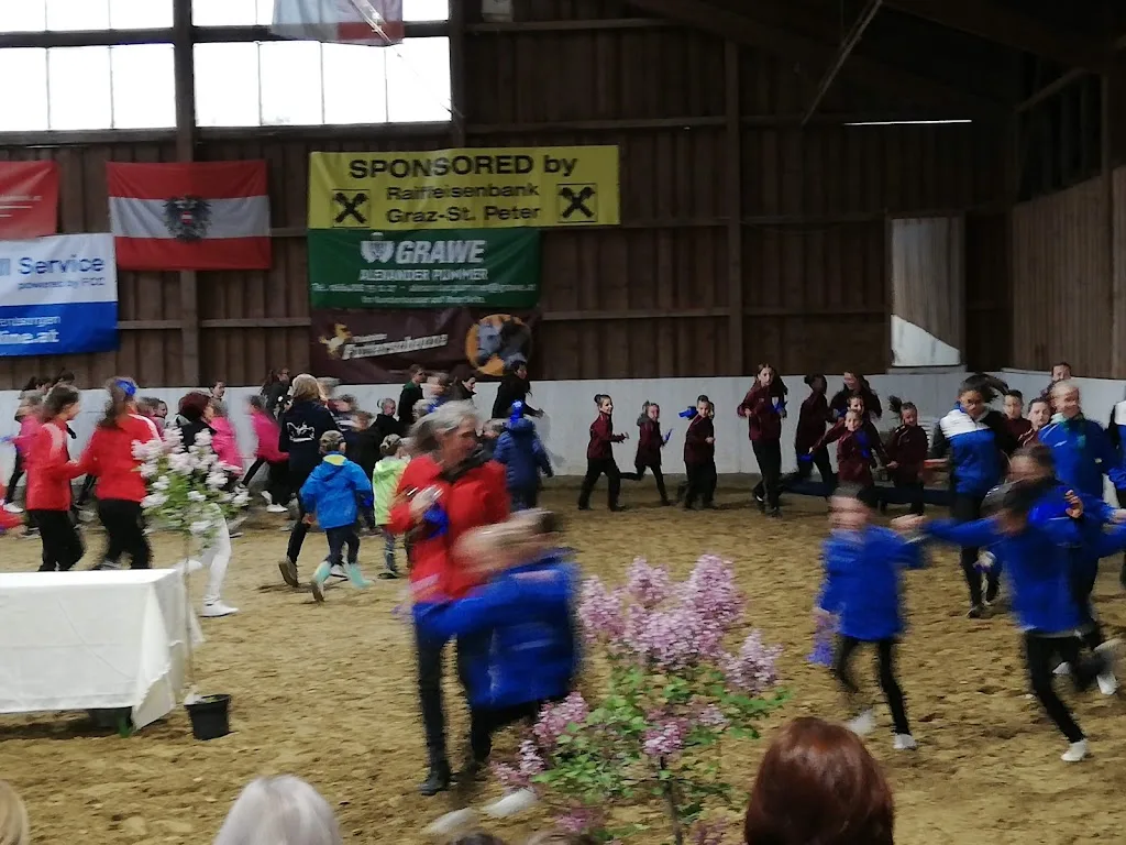 Horse Resort Am Sonnenhof - Foto 3