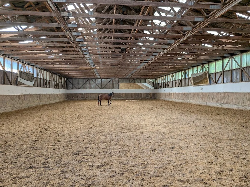 Long View Ranch - photo 3