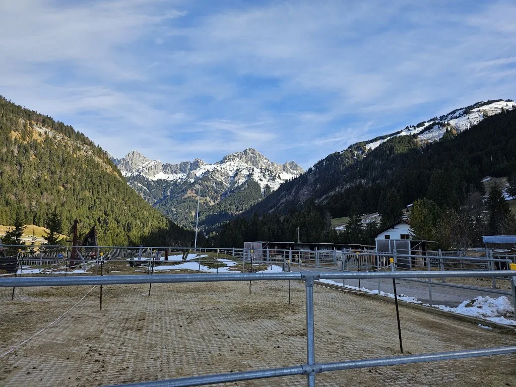 Waeldnerhof - photo 2