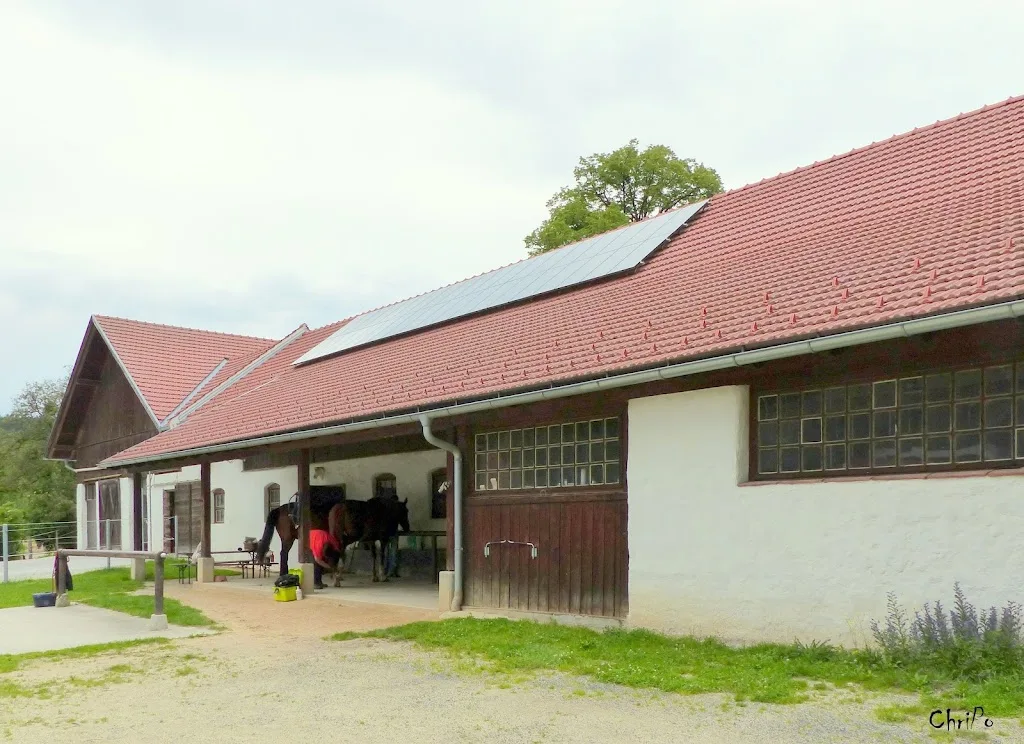 Pferdehof Kraxenberg - Foto 1