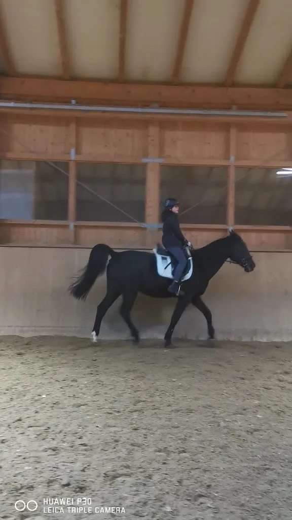 Reitstall Gut Fabricius - Foto 1