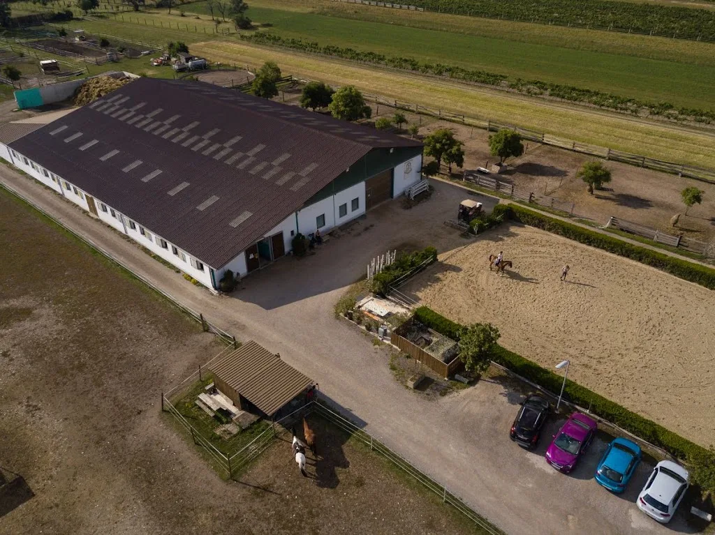 Pferdehof Seidler - Foto 1