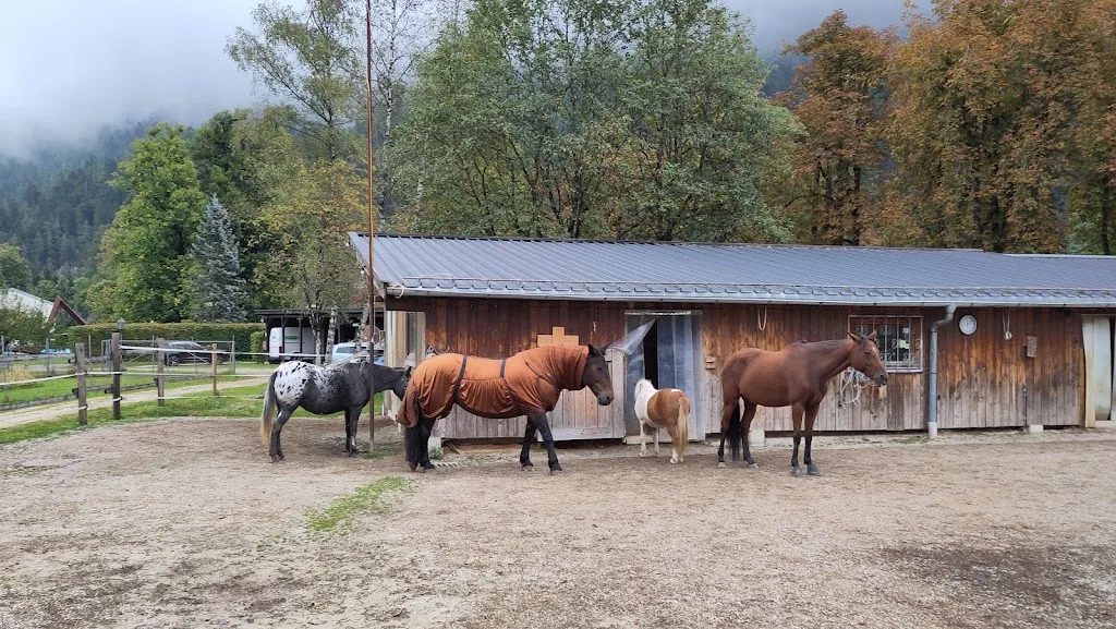 Stall der Weggefährten - photo 2