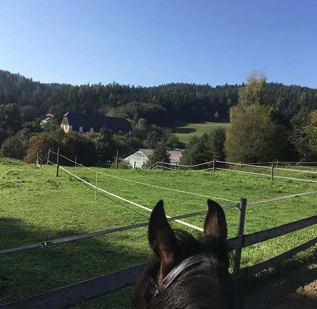 Reitstall Angererhof - Foto 1