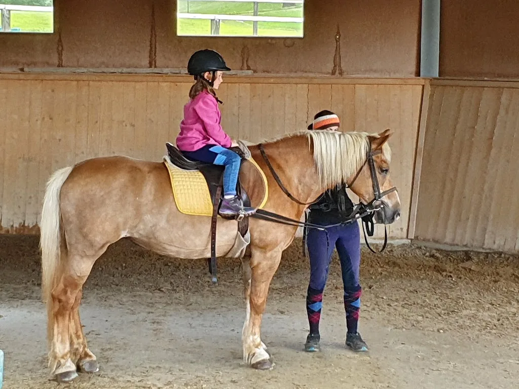 Reitstall Griesser - photo 3