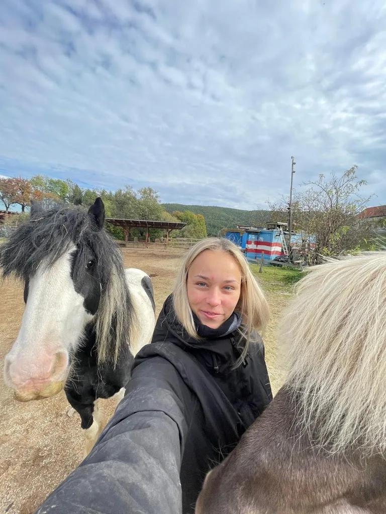 Reiten am Hollerblütenhof - photo 2