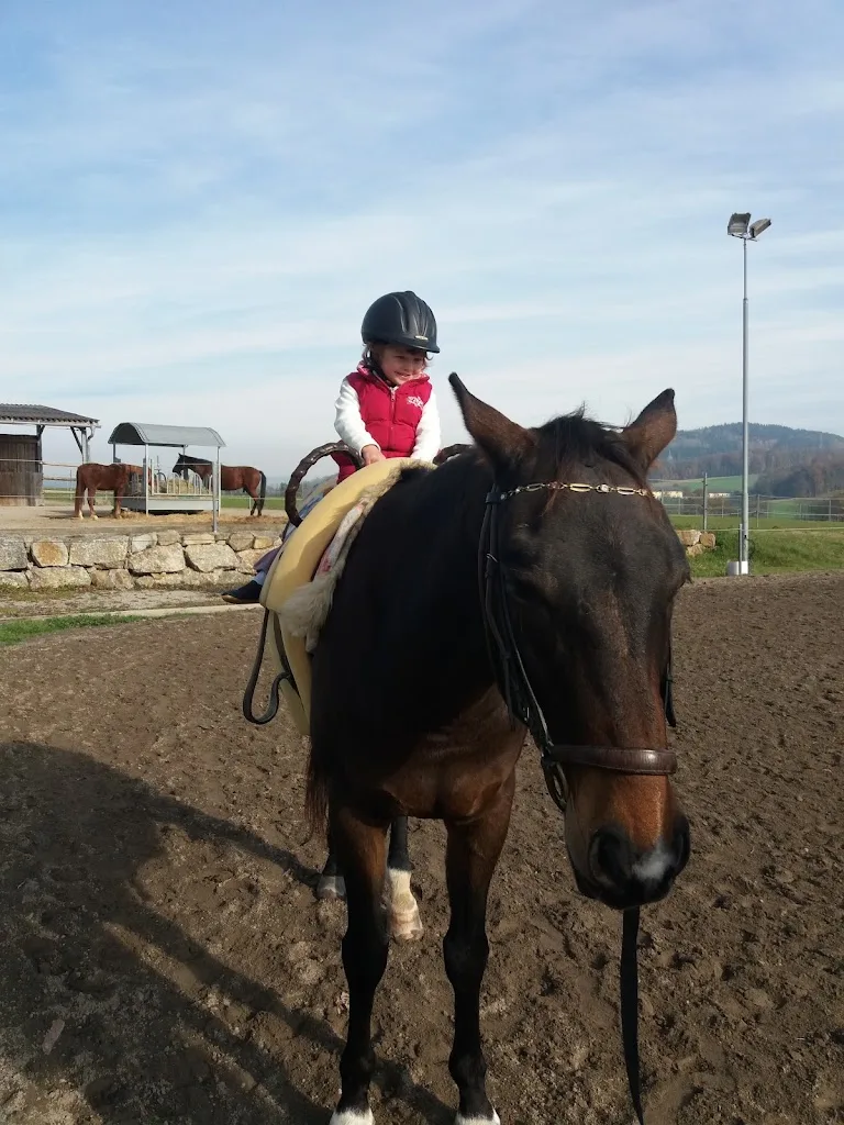 Reitstall Steiner am Pittersberg - photo 2