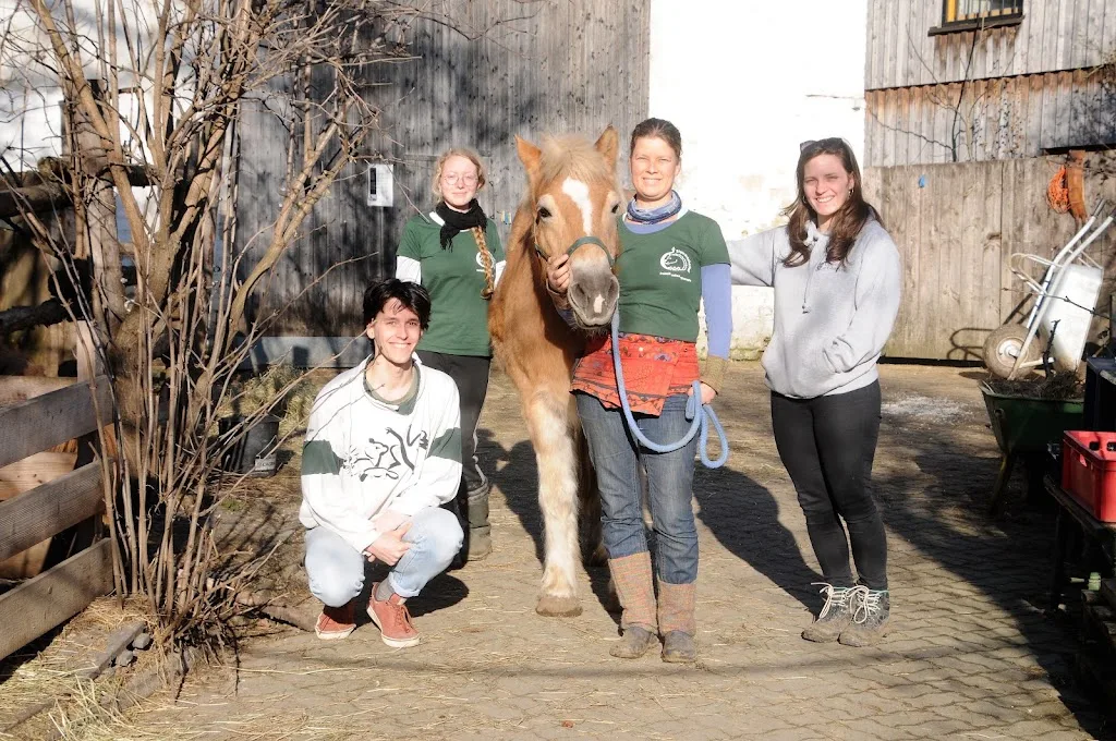 Steinbacherhof - Pferdegestützte Therapie und Selbsterfahrung mit Pferden - Foto 2