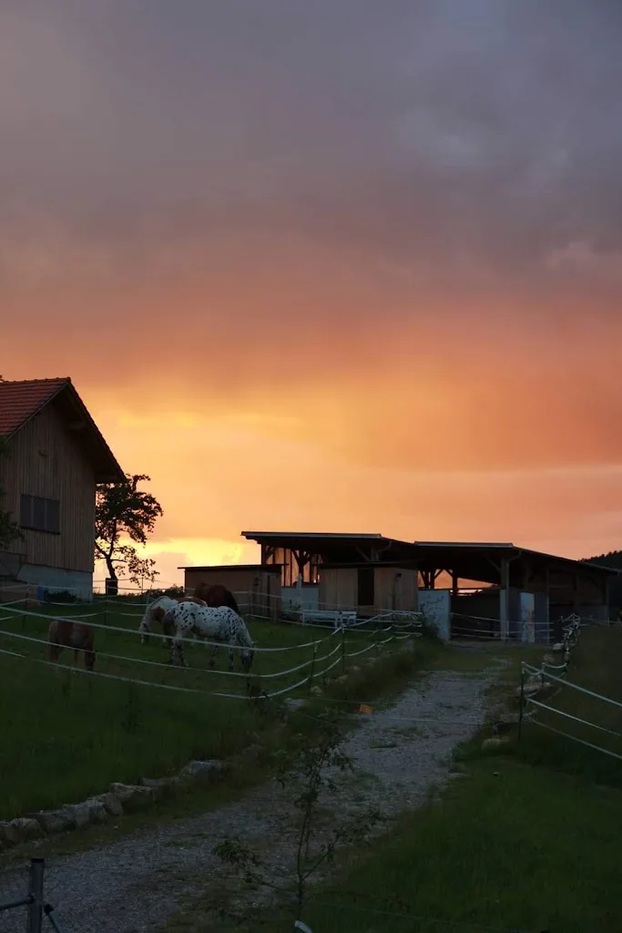 (K)ein Ponyhof - photo 1