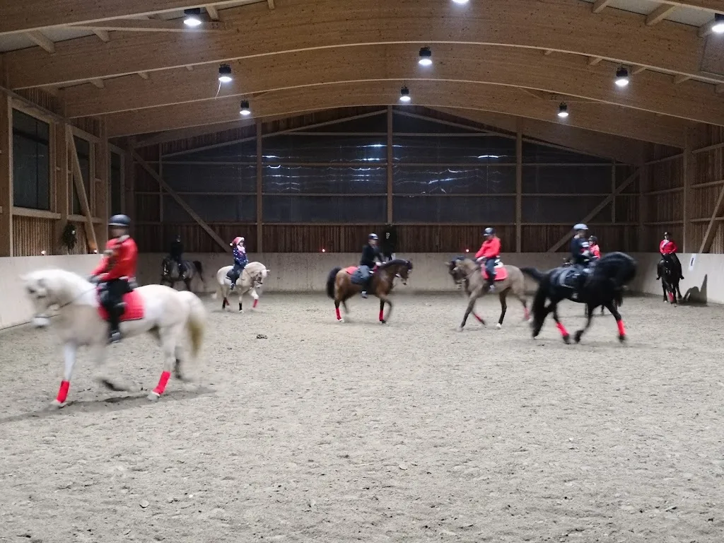 Reitstall Roscher KG - photo 2