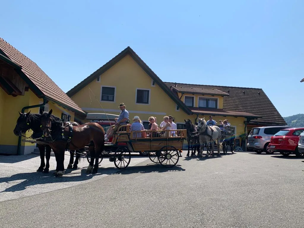 Franz Jöbstl jun. | Obervogau - Foto 3