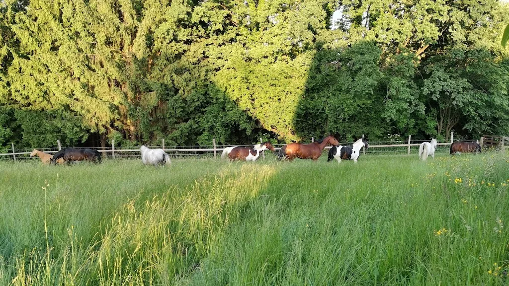Sundown Ranch - Foto 2