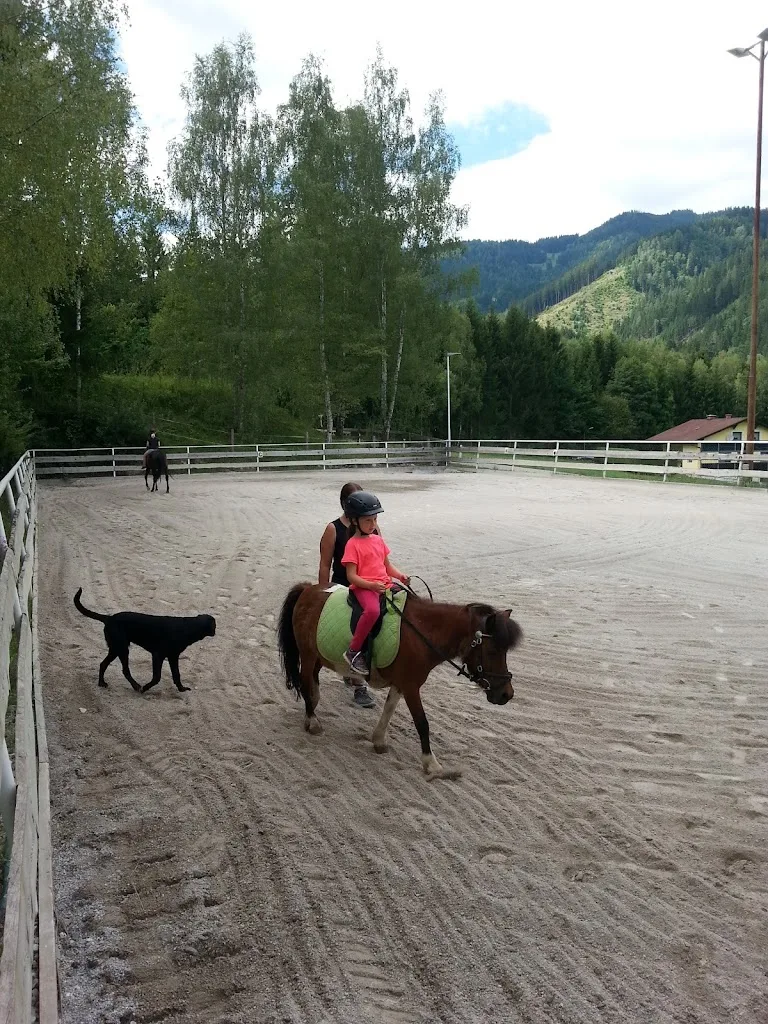 SPORTPFERDE SCHMEDLER - photo 1