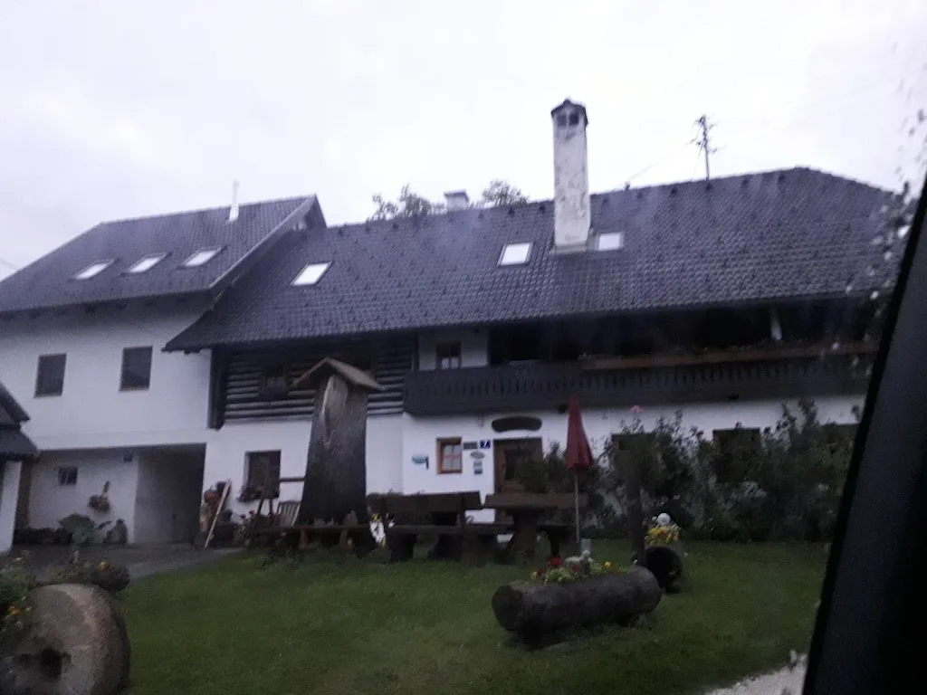 Pension & Reiterhof Köck - Foto 1