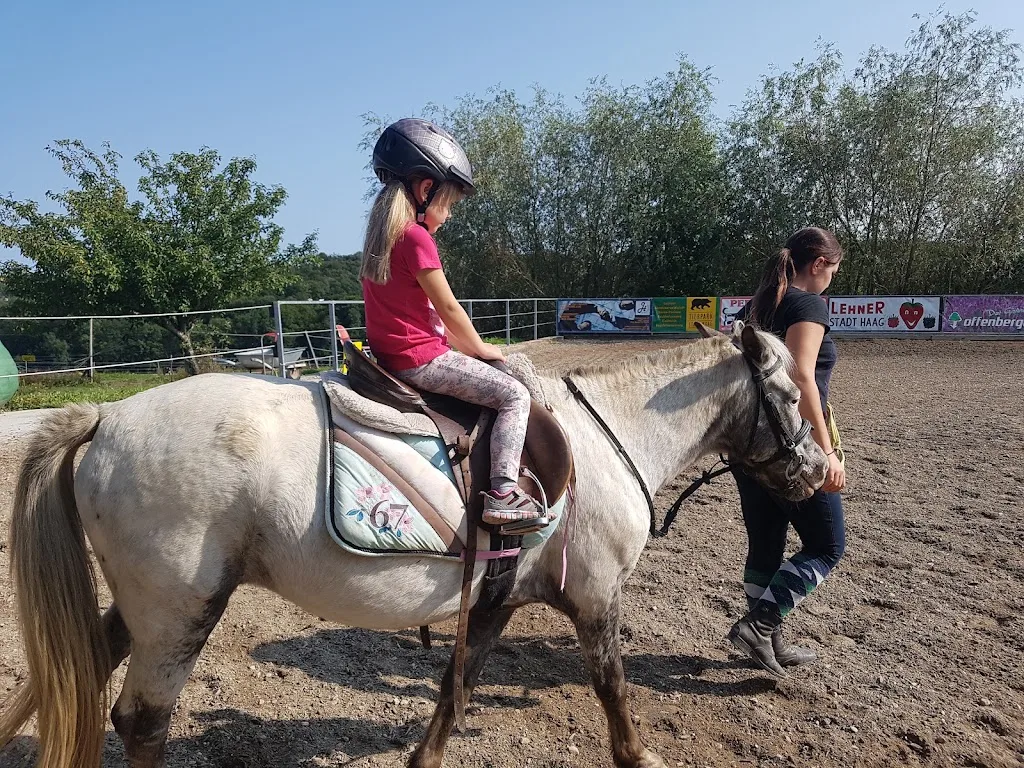 Reitbetrieb Lisa Eder - Foto 1