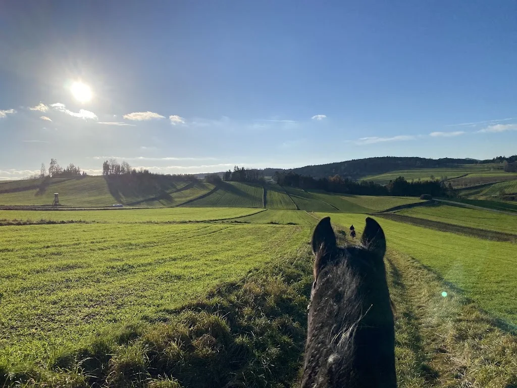 ME-Ranch - Foto 1
