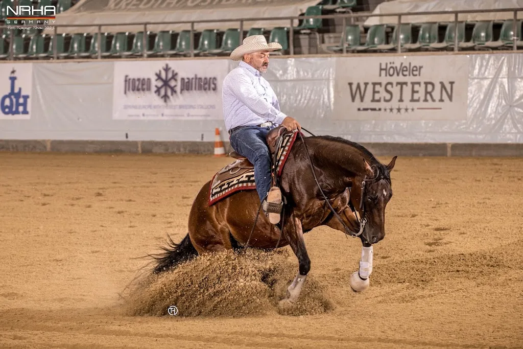 Robausch Reining Horses - Foto 1