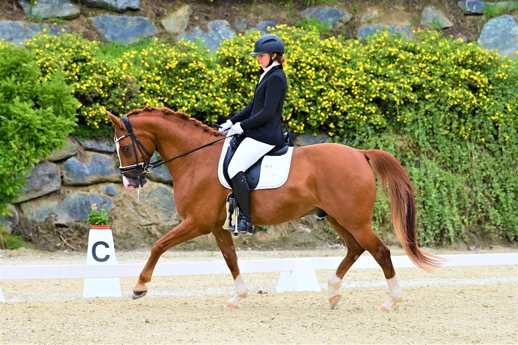 Kurtis Pferdehof - photo 2