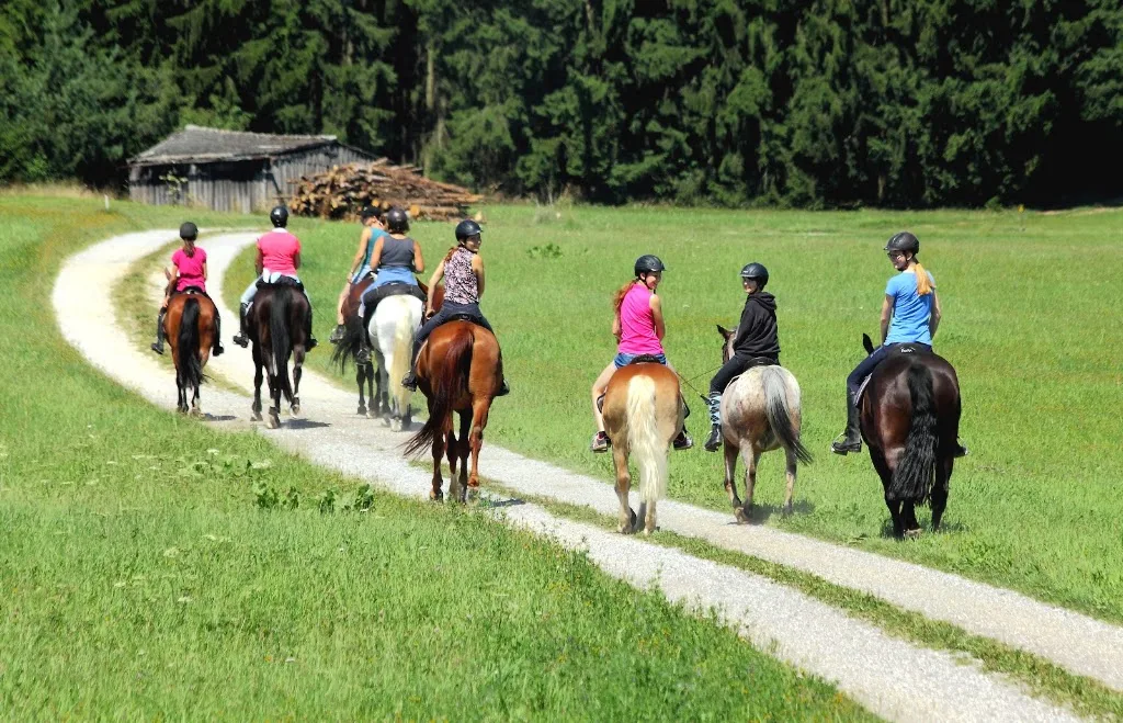 Zimtsternhof | Pferde- und Therapiehof - Foto 2