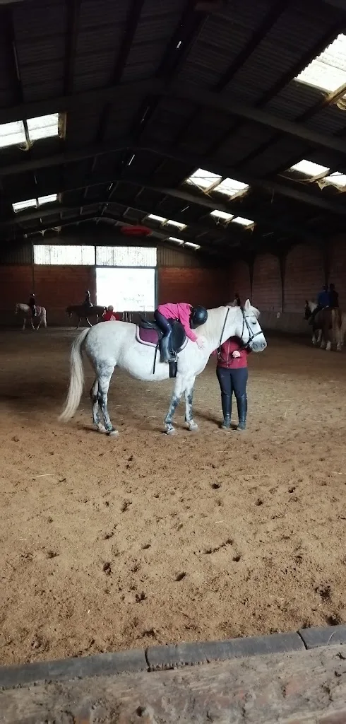Reitstall & Massagepraxis Jacqueline Bauer - photo 2