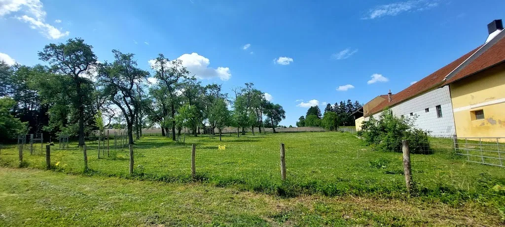 Pferdekoppel - photo 2