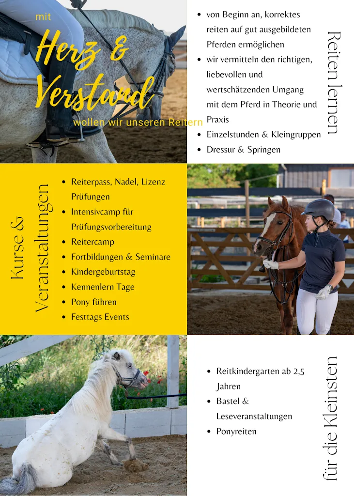 Ausbildungsstall Gut Obere Trift Dressurtraining Nicola Wolsdorff - photo 1