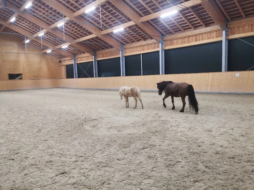 Gut Vorau Reitstall für Groß- und Islandpferde - Foto 1