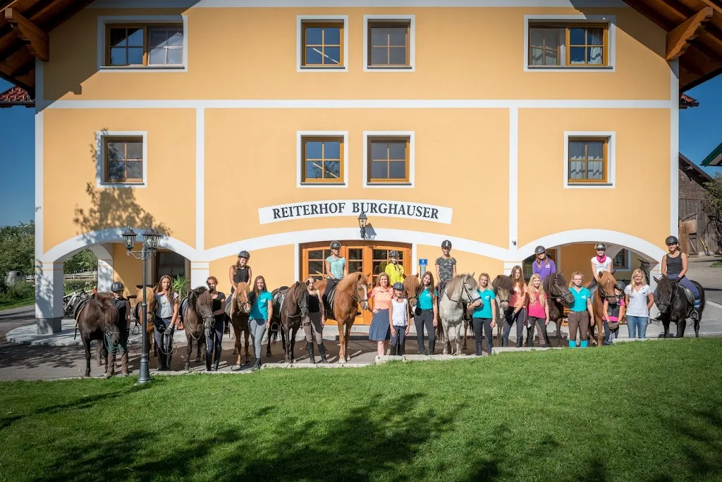 Gut Vorau Reitstall für Groß- und Islandpferde - Foto 2