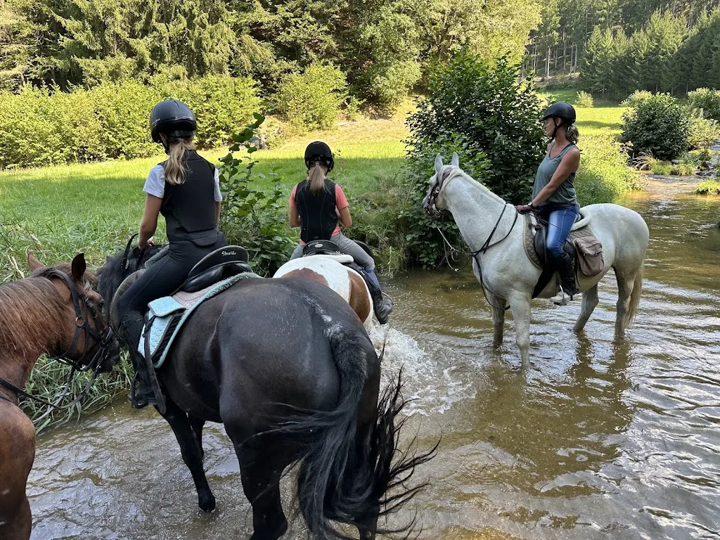 Reitpark Gstöttner - Foto 2