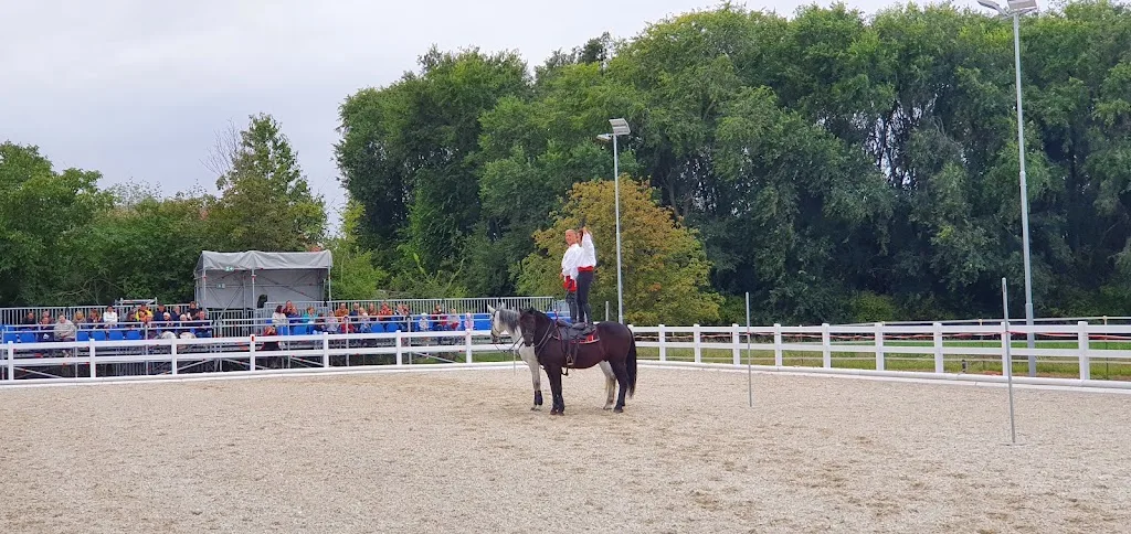 Reiterhof Romy - Foto 3