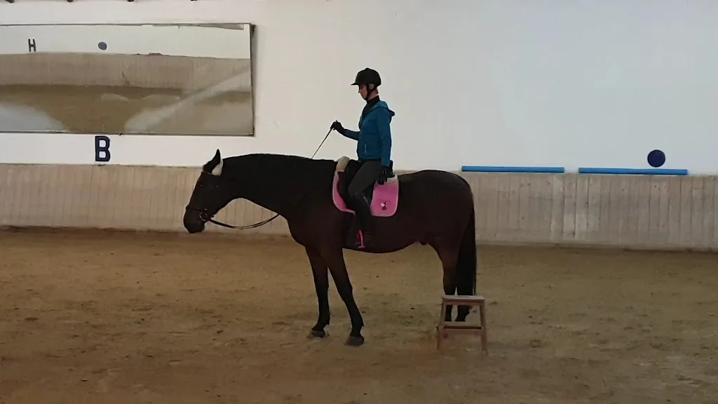 Reitschule Haidehof - photo 2