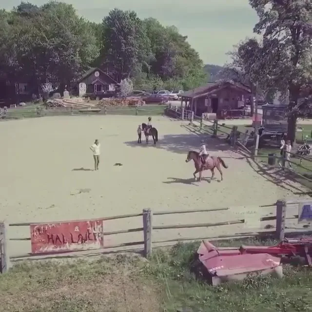 Ponyhof Daneder - Foto 3