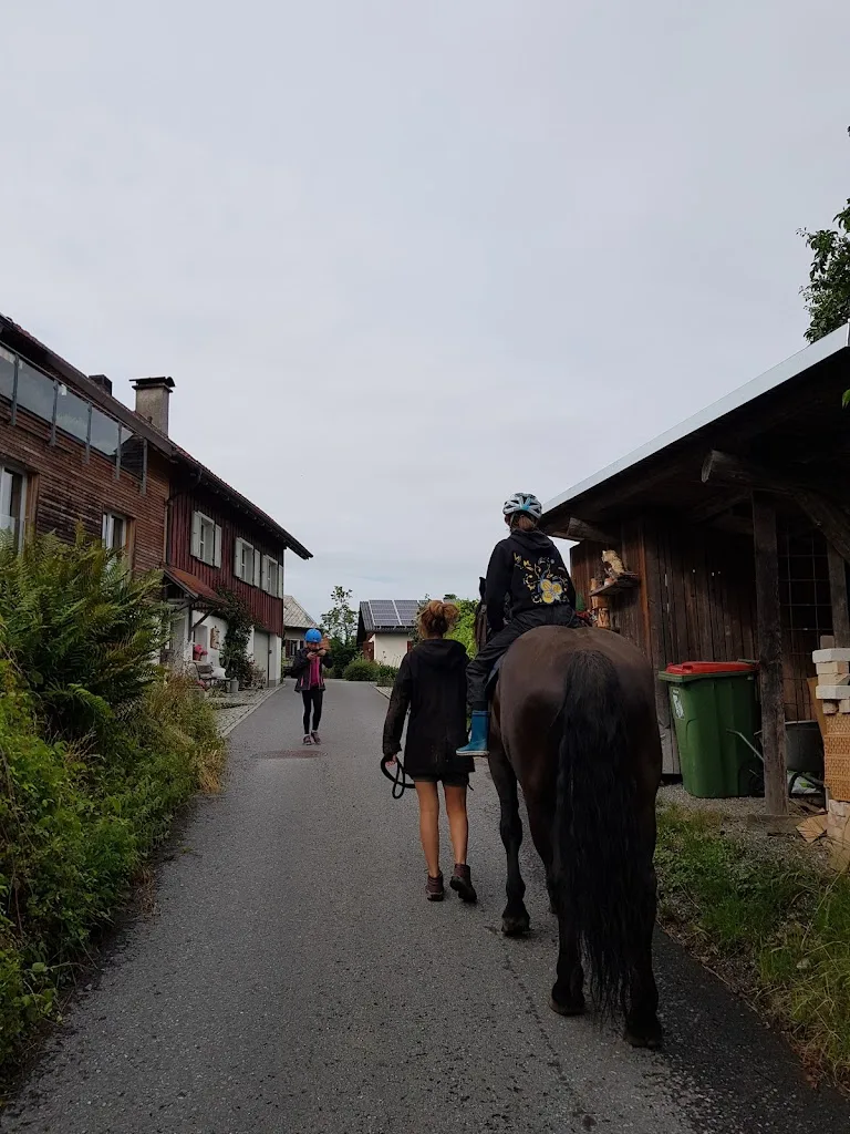 Saminahof - Foto 2