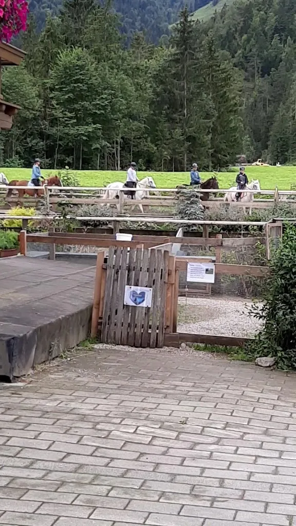 Reitschule Kramerhof - Foto 3
