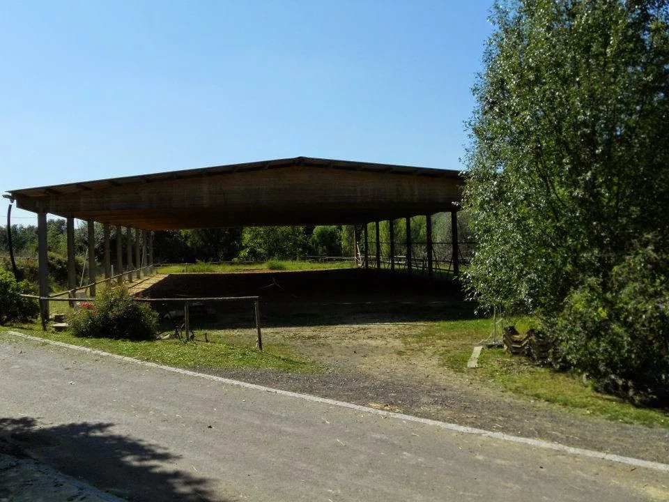 Pferdehof Gestüt Kapfenstein - photo 1
