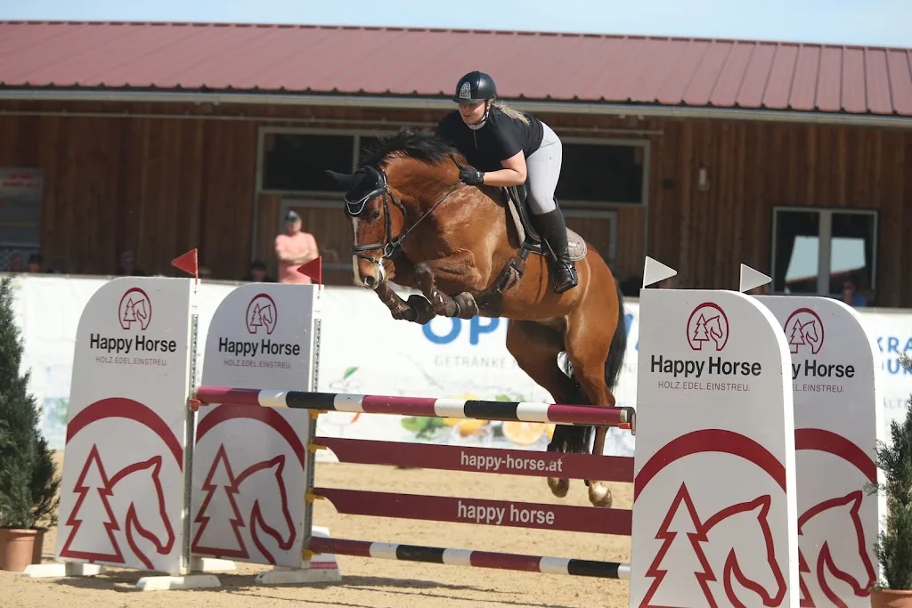 Reitstall Altenfelden - photo 2