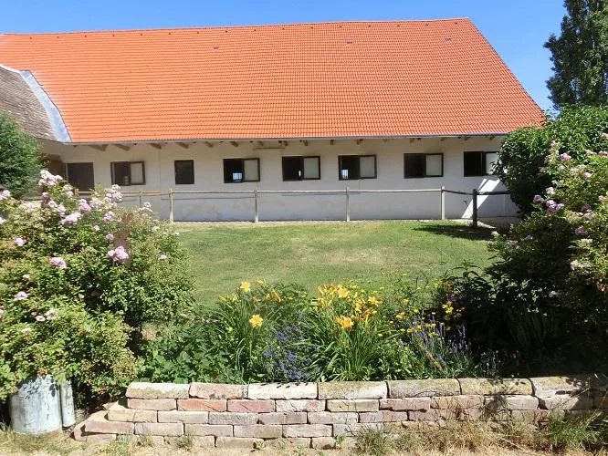 Reiterfarm Nexenhof - photo 2