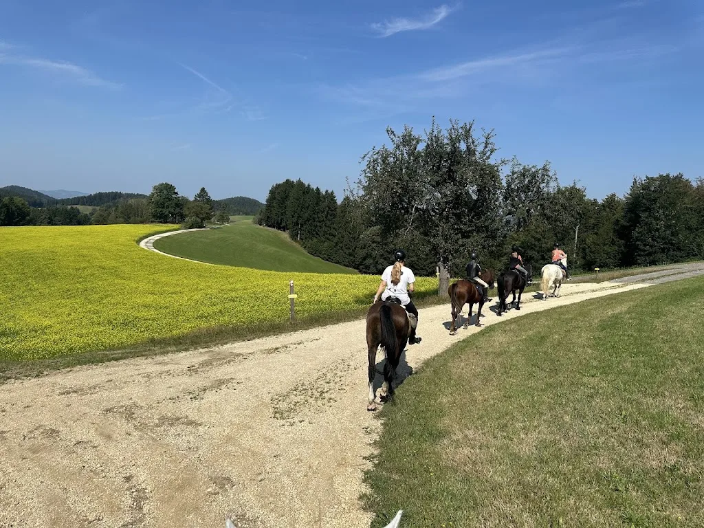 Pferdehof Familie Hinterreither - Foto 1