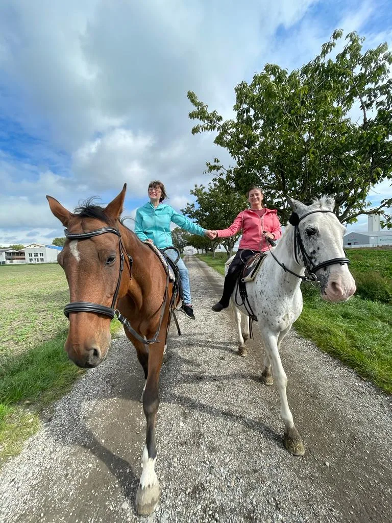 Pferdehof Paradeiser - photo 2
